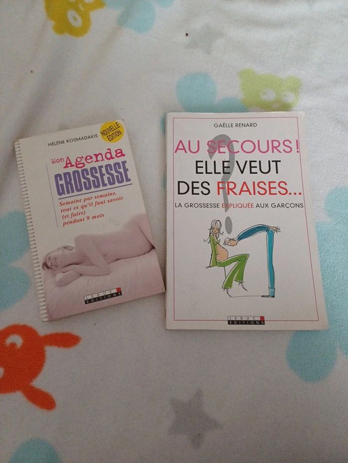 Lot 2 livres sur la grossesse