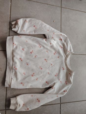 Pull polaire