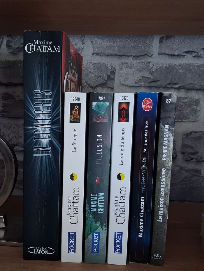 5 romans de Maxime  et La maison assassinée - photo numéro 3