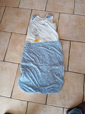 Gigoteuse Disney baby 6/18 mois