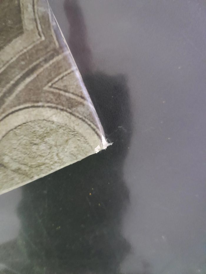 BD tome 1 Orcs & gobelins - Turuk - photo numéro 5