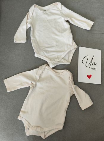 Lot bodies tao roses