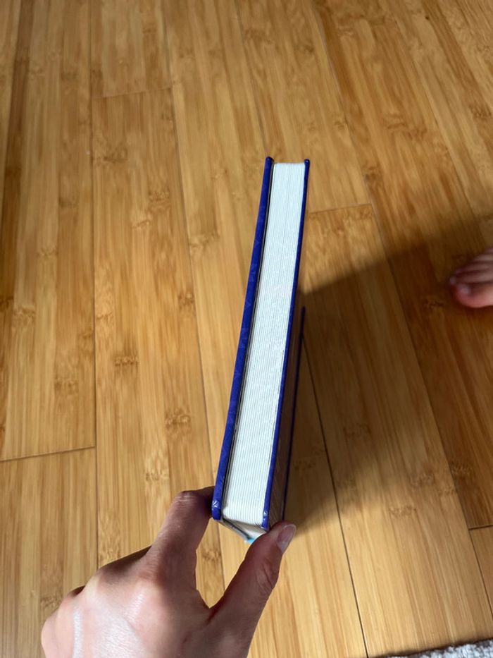 Livre reine des neiges Disney - photo numéro 3