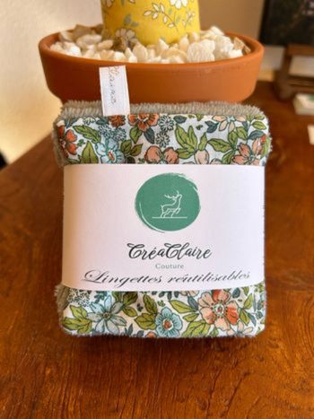 Lot 10 Lingettes réutilisables