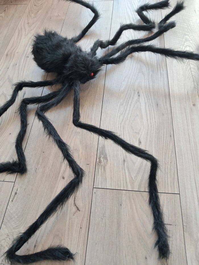 Énorme araignée de 1 mètre. Décor halloween - photo numéro 2