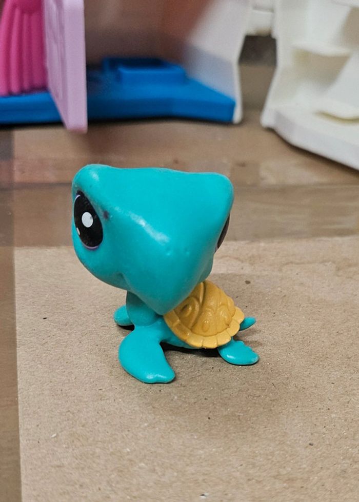 Pet shop tortue 1-60