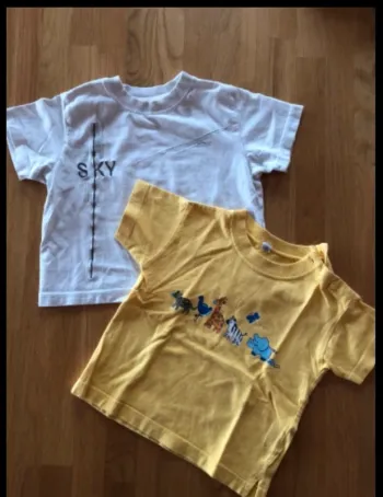 Lot 2 T-shirts manches courtes