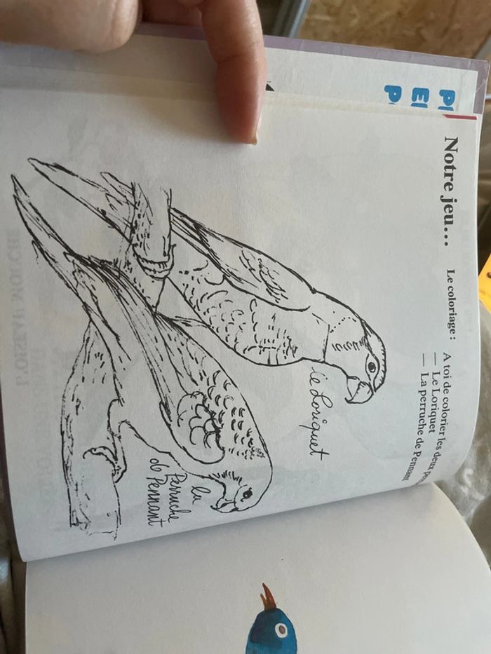 Livre Comme un grand Les oiseaux Les poissons Les chats - photo numéro 8