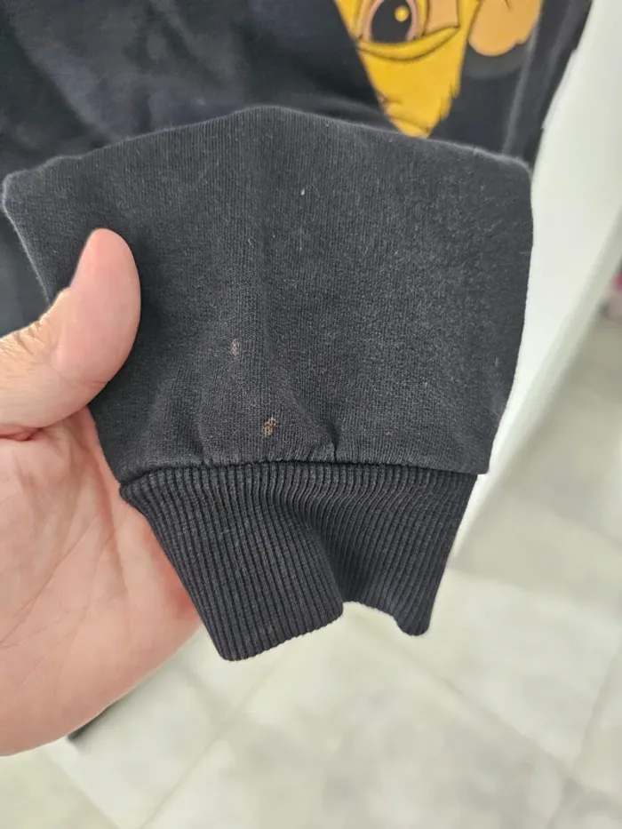 Pull Sweat a capuche roi lion +1 gratuit - photo numéro 4