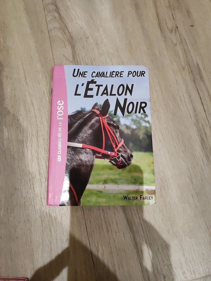 La bibliothèque rose l'étalon noir