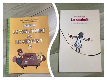 Livre enfants le souhait, le vieille homme ou le serpent
