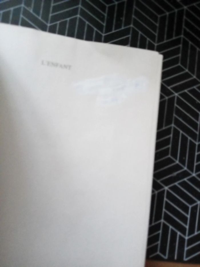 L'enfant jules Vallès - photo numéro 3