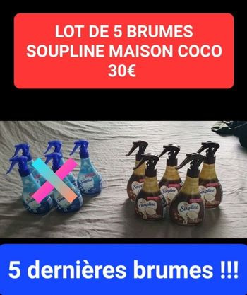 Lot 5 soupline brumes COCO