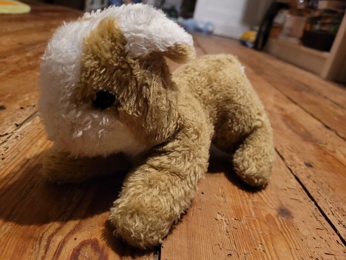 RARE Boulgom Lapin miel brun marron blanc 22cm peluche doudou collection Made in France - photo numéro 2