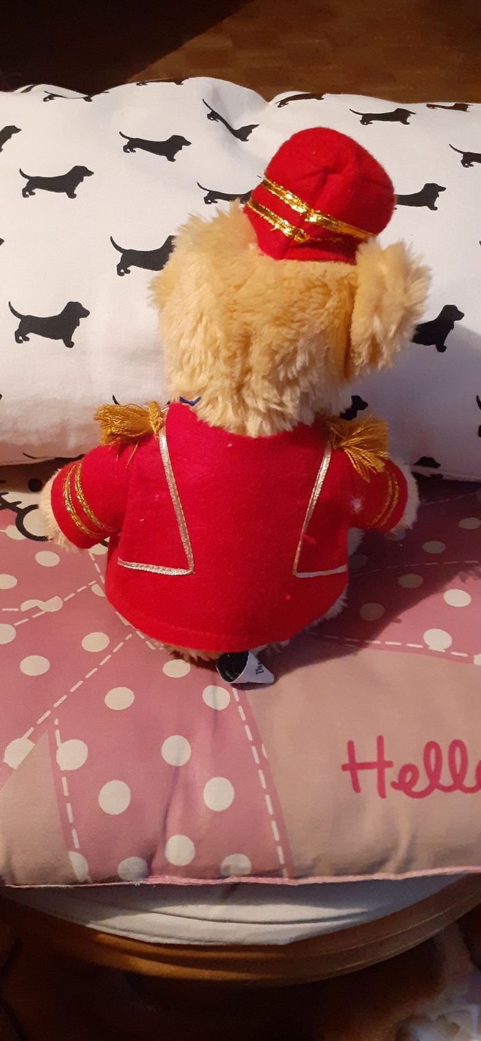 Ourson habille - photo numéro 2