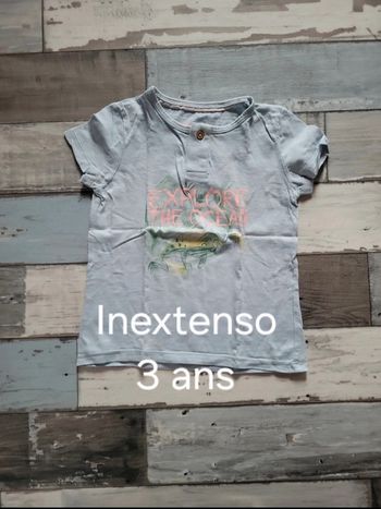 Tee-shirt "Inextenso" 3ans