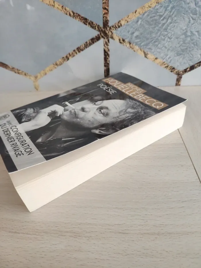 Livre poche poésie Houellebecq j'ai lu avec configuration du dernier rivage - photo numéro 3