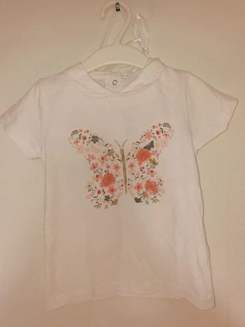 Tee shirt papillon