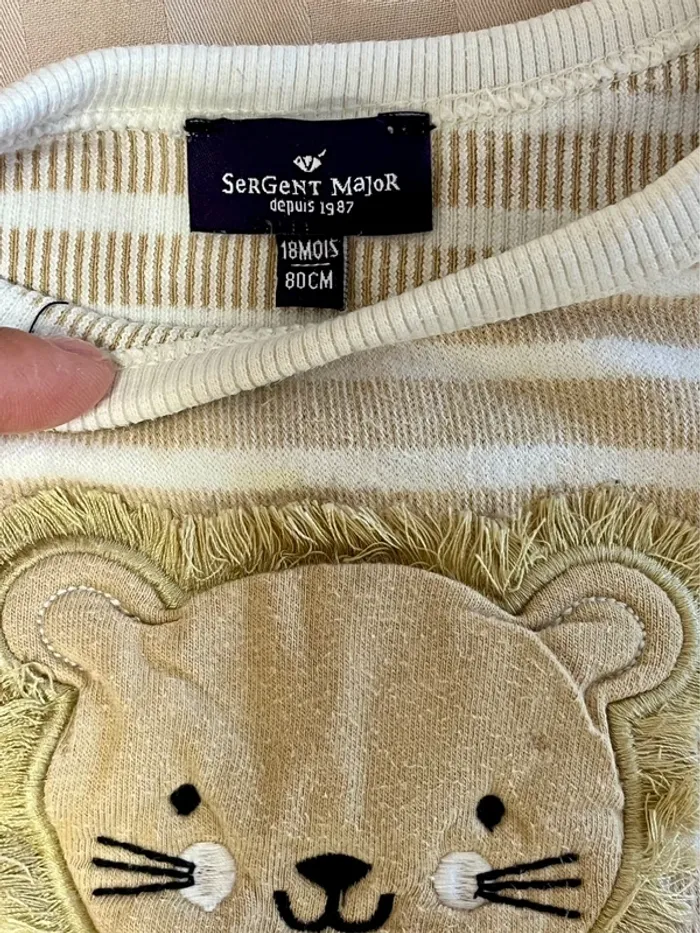 Pull lion - photo numéro 3