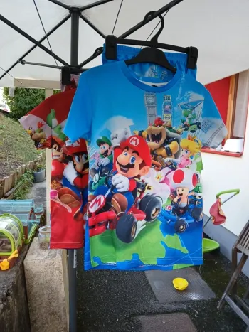 Lot ensemble Mario Sonic jumeaux
