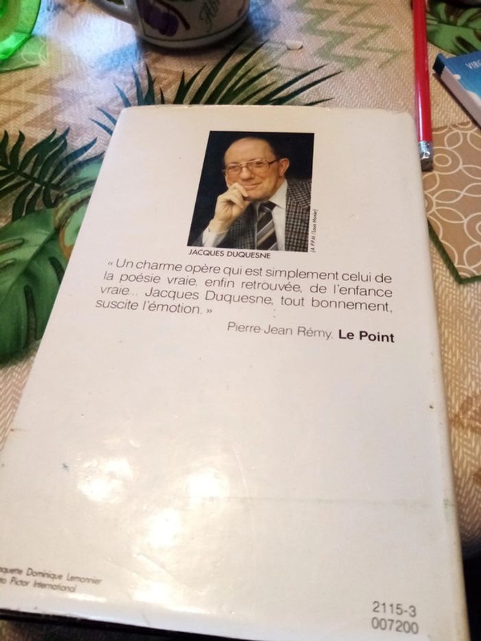 Roman Au début d'un bel été - photo numéro 2