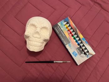 Lot Crâne en Plâtre, Peinture, Pinceau. Neufs