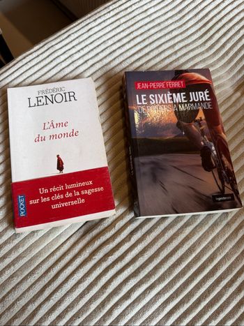 L’âme du monde et le sixième juré
