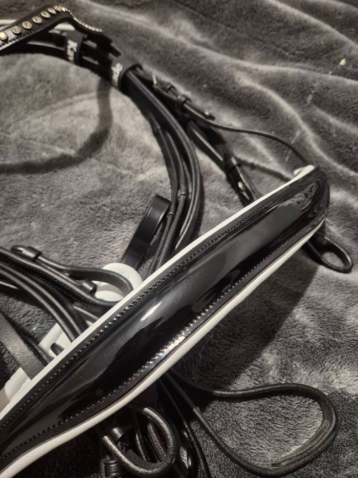 Double Bride dressage kavalkade - photo numéro 3