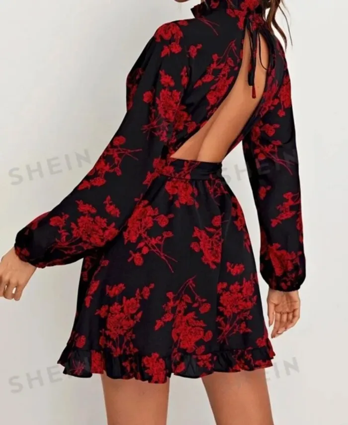 Robe dos nu - photo numéro 2