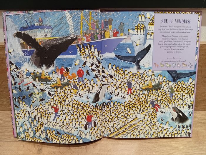 Où sont cachées les Licornes - photo numéro 3