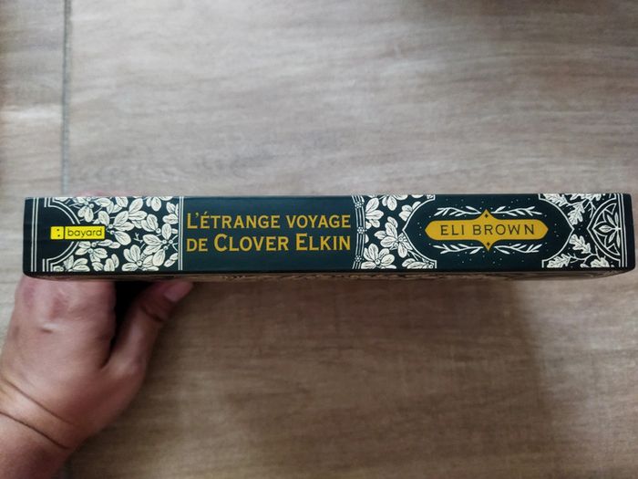 L'étrange voyage de Clever Elkin - photo numéro 3