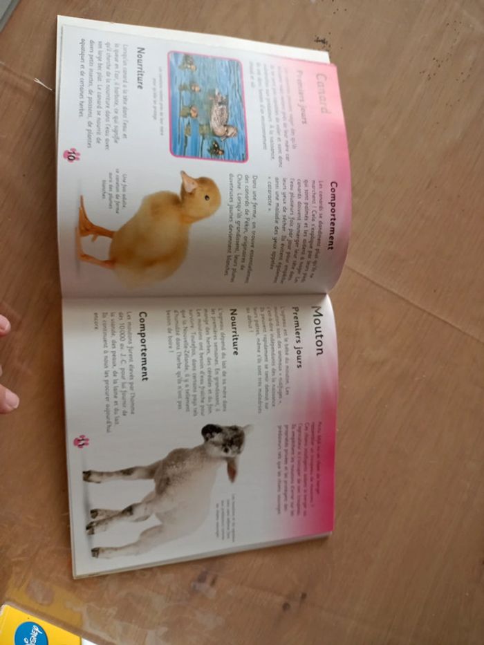 Livre j'apprends en m'amusant bébés animaux neuf - photo numéro 3