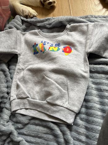 Pull gris