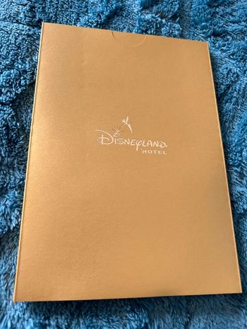 Carnet Disneyland hôtel neuf avec jaquette