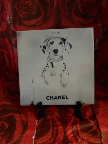 Carrelage dalmatiens 