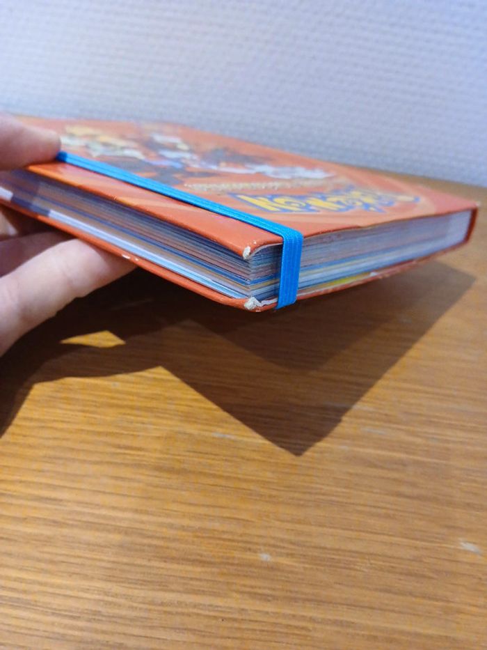 Pokemon la maxi-integrale ! - photo numéro 7