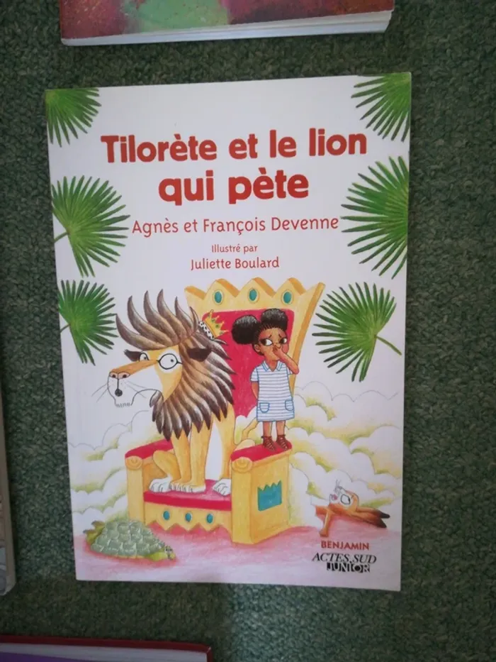Lot de 5 romans édition Lire c'est partir, Actes Sud junior, Ratus poche,Bamboo - photo numéro 8