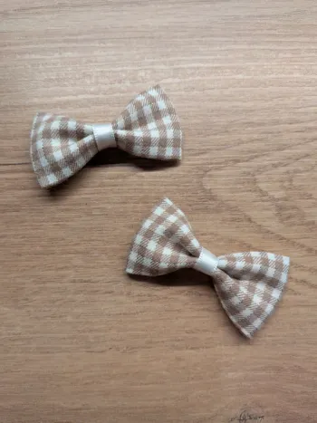 Lot 2 barrettes " cache cache au parc " motif vichy