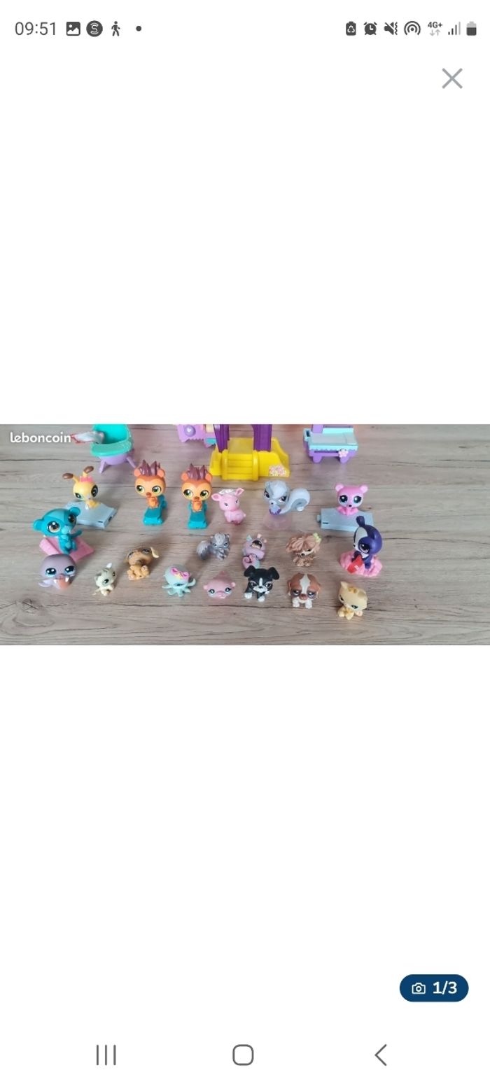 Petshop - photo numéro 3