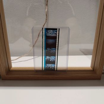 Pellicule démon slayer daki