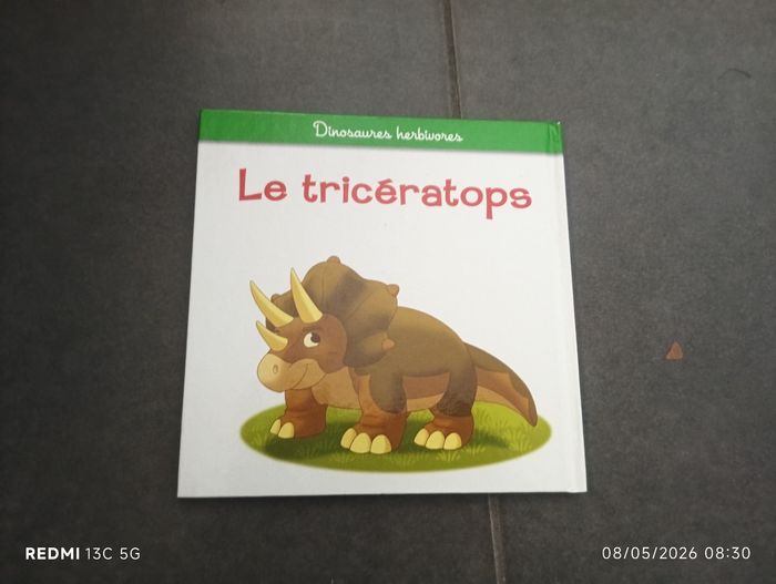 Le tricératops - photo numéro 4