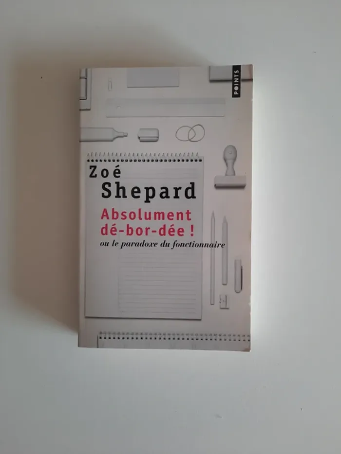 livre absolument débordée
