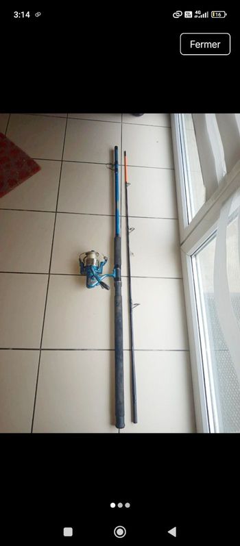 Cane à Pêche Mitchell 