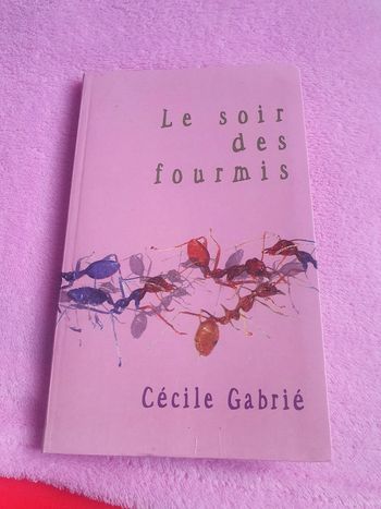 Le soir des fourmis