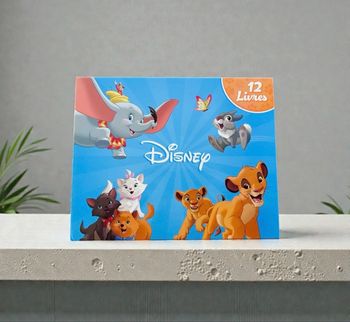 Coffret Disney – 12 petits livres (histoires des films)