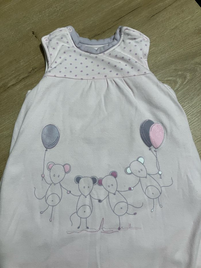 Gigoteuse 0-3 mois 🐭 - photo numéro 2