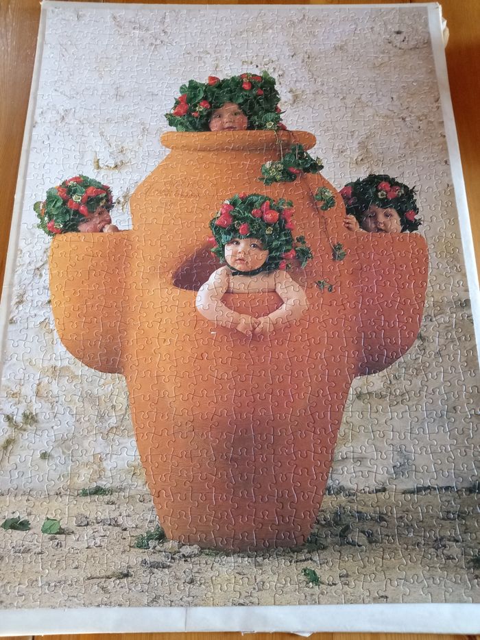 Puzzle Anne Geddes 900 pièces - photo numéro 2