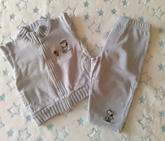 Ensemble Snoopy