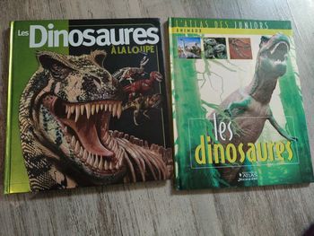 Les dinosaures a la loupe