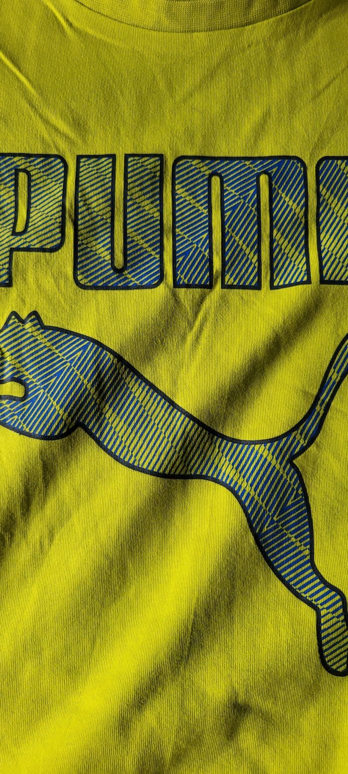 Tee-shirt - photo numéro 3